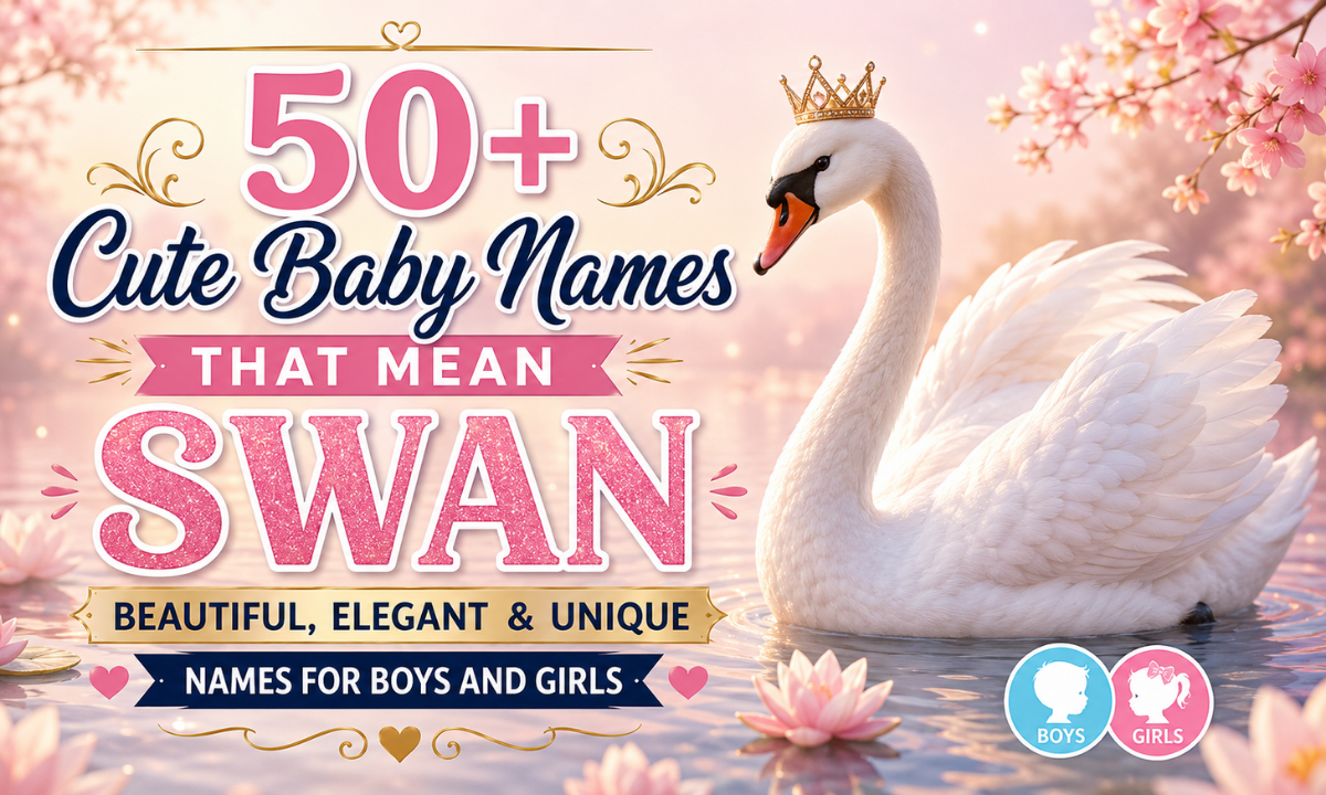50+ Cute Baby Names That Mean Swan Beautiful, Elegant & Unique Names for Boys and Girls 
